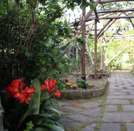 Garden | Sant’Anna Institute