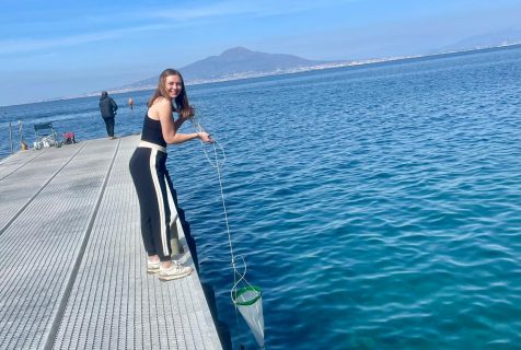 My internship outside of the classroom at marine protected area of Punta Campanella